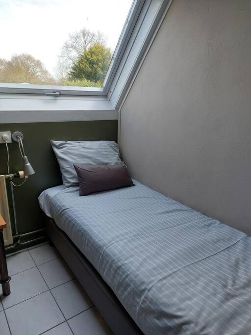 Boszicht 2 Appartement In Oostkapelle Bagian luar foto